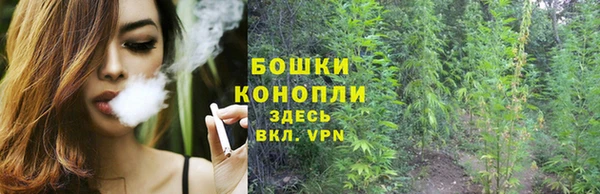 мяу мяу мука Карталы