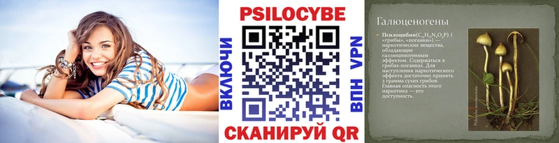 Купить  Таганрог  Псилоцибиновые грибы MAGIC MUSHROOMS 